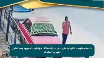 «لحظة مثيرة» القبض على لص سرقة هاتف مواطن بالأميرية بعد تداول الفيديو الغامض